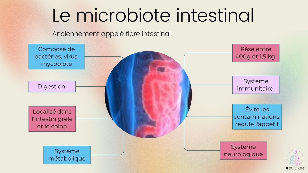 A quoi sert le microbiote ? Le microbiote : tout ce qu'il faut savoir