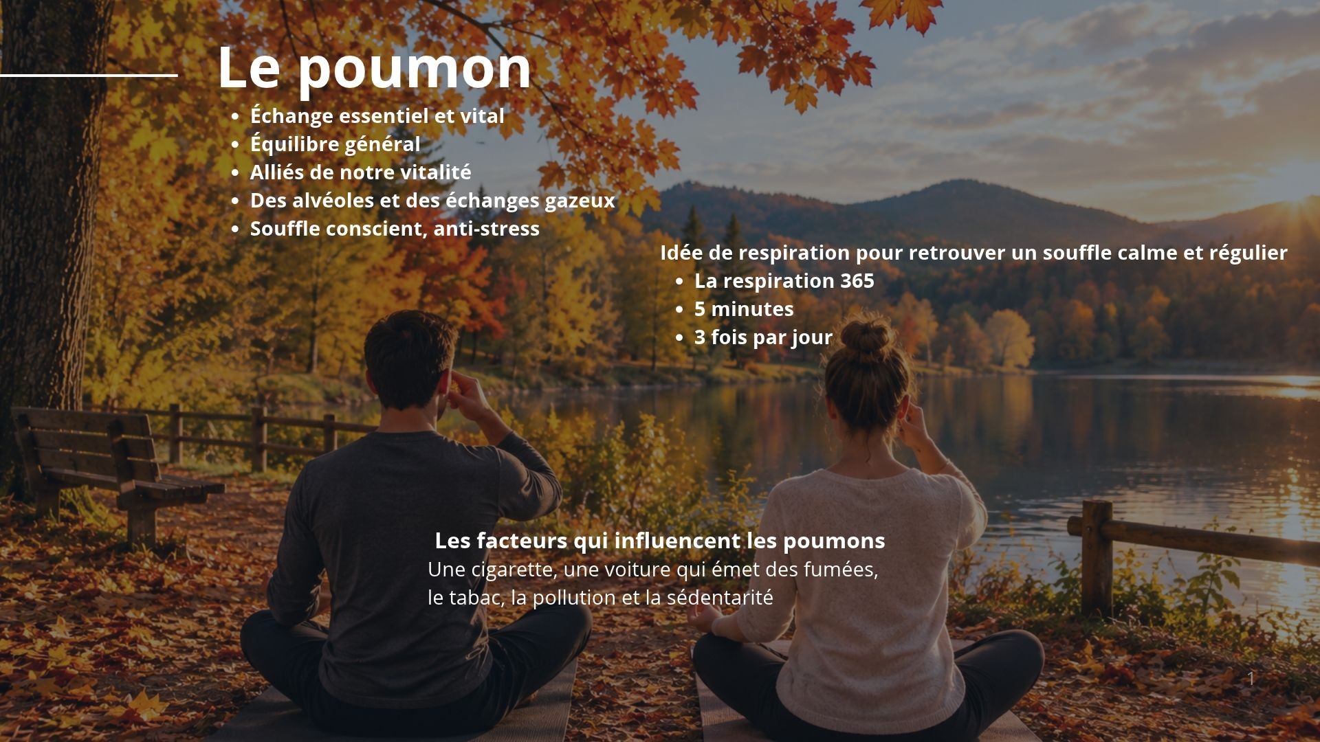 Ayurveda ; vos poumons pour l'automne Prenez soin de vos poumons en Automne