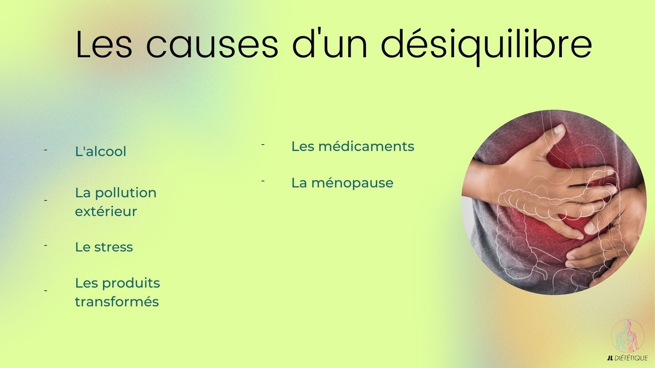 le deséquilibre intestinal, les causes Les raisons d'un désequilibre intestinal