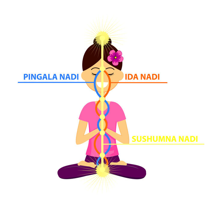 Le Nadi Pingala dans le pranyama Surya Bhedana Pranayama