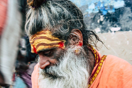 Darshan et bénédiction des sādhus Maha Kumbh Mela : Darshan et bénédiction des sādhus