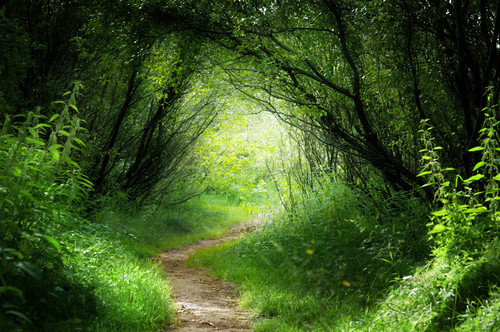Parcourez le chemin du Neti neti Le Neti Neti : Un chemin à parcourir