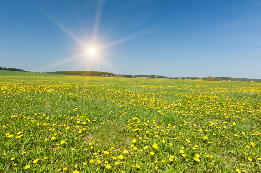 Le pranayama pour préparer le printemps
