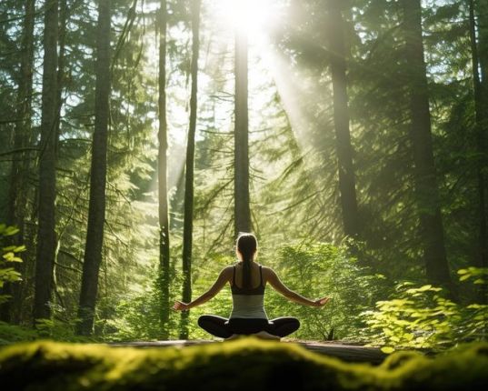 Le Pranayama où l'art de respirer