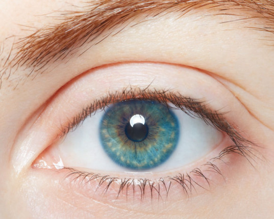 Le Yoga des yeux : Ayurveda, yoga et méthode de Bates