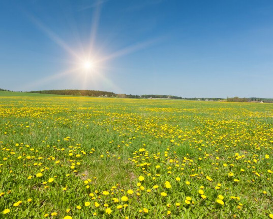 Le yoga pour préparer le printemps