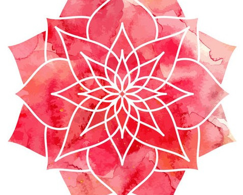 TriDosha : Ce qu'il faut savoir sur Pitta