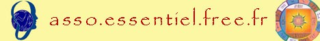 Association EssenCiel