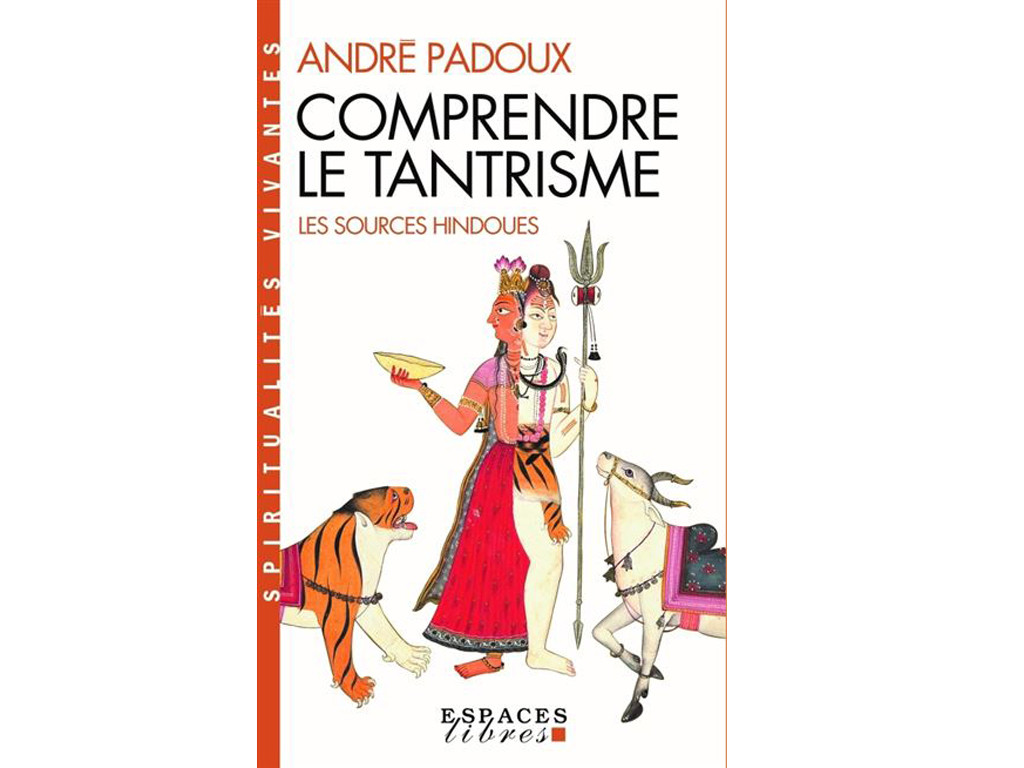 Item Comprendre le Tantrisme Andre Padoux