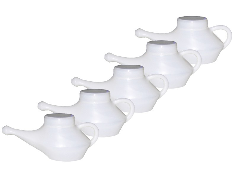 Item Lot de 12 Lotas de voyage XL Satguru 350 ml